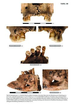 Bild der Seite - 382 - in Das linearbandkeramische Gräberfeld von Kleinhadersdorf