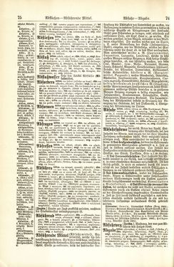 Image of the Page - 76 - in Pierers Konversations-Lexikon - A-Aufstehen, Volume 1