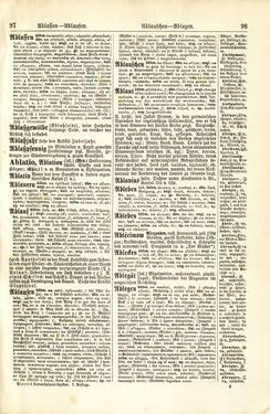 Bild der Seite - 98 - in Pierers Konversations-Lexikon - A-Aufstehen, Band 1