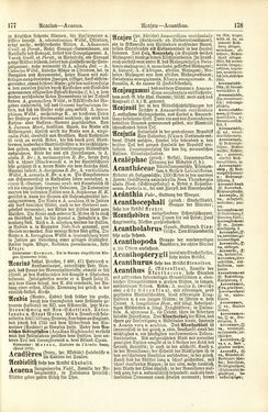 Image of the Page - 178 - in Pierers Konversations-Lexikon - A-Aufstehen, Volume 1