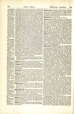 Bild der Seite - 196 - in Pierers Konversations-Lexikon - A-Aufstehen, Band 1
