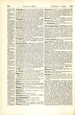 Image of the Page - 256 - in Pierers Konversations-Lexikon - A-Aufstehen, Volume 1