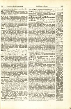 Image of the Page - 282 - in Pierers Konversations-Lexikon - A-Aufstehen, Volume 1