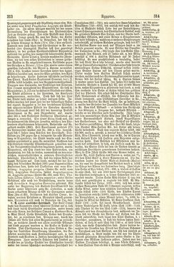 Bild der Seite - 314 - in Pierers Konversations-Lexikon - A-Aufstehen, Band 1
