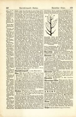 Image of the Page - 328 - in Pierers Konversations-Lexikon - A-Aufstehen, Volume 1