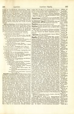 Image of the Page - 402 - in Pierers Konversations-Lexikon - A-Aufstehen, Volume 1