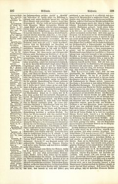 Image of the Page - 528 - in Pierers Konversations-Lexikon - A-Aufstehen, Volume 1