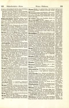 Image of the Page - 530 - in Pierers Konversations-Lexikon - A-Aufstehen, Volume 1