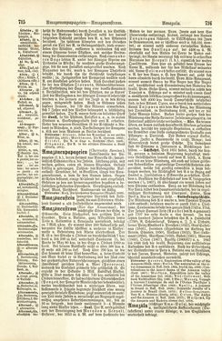 Image of the Page - 716 - in Pierers Konversations-Lexikon - A-Aufstehen, Volume 1