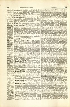 Image of the Page - 764 - in Pierers Konversations-Lexikon - A-Aufstehen, Volume 1