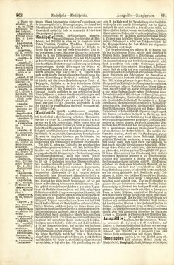 Image of the Page - 804 - in Pierers Konversations-Lexikon - A-Aufstehen, Volume 1