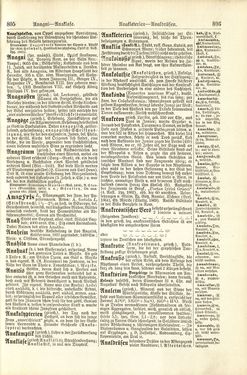 Image of the Page - 806 - in Pierers Konversations-Lexikon - A-Aufstehen, Volume 1