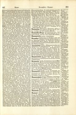 Image of the Page - 818 - in Pierers Konversations-Lexikon - A-Aufstehen, Volume 1