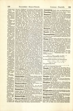 Image of the Page - 820 - in Pierers Konversations-Lexikon - A-Aufstehen, Volume 1