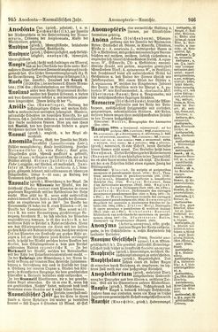 Bild der Seite - 946 - in Pierers Konversations-Lexikon - A-Aufstehen, Band 1