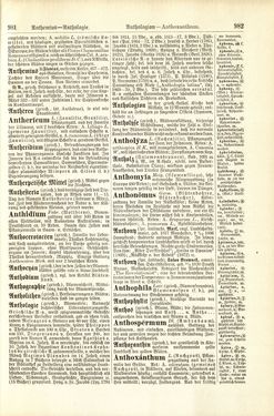 Bild der Seite - 982 - in Pierers Konversations-Lexikon - A-Aufstehen, Band 1
