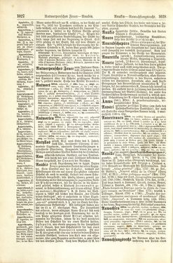 Image of the Page - 1028 - in Pierers Konversations-Lexikon - A-Aufstehen, Volume 1