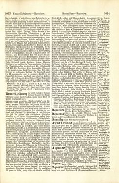 Bild der Seite - 1094 - in Pierers Konversations-Lexikon - A-Aufstehen, Band 1