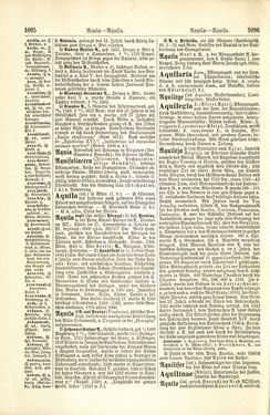 Image of the Page - 1096 - in Pierers Konversations-Lexikon - A-Aufstehen, Volume 1
