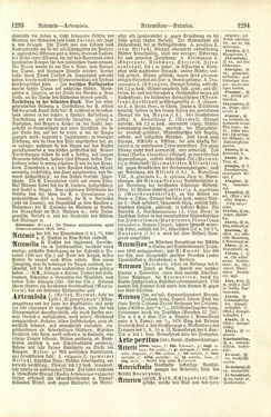 Image of the Page - 1294 - in Pierers Konversations-Lexikon - A-Aufstehen, Volume 1