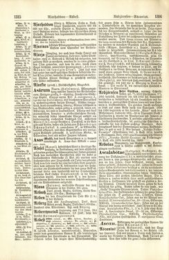 Bild der Seite - 1316 - in Pierers Konversations-Lexikon - A-Aufstehen, Band 1