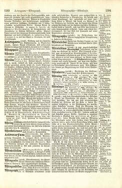 Image of the Page - 1394 - in Pierers Konversations-Lexikon - A-Aufstehen, Volume 1