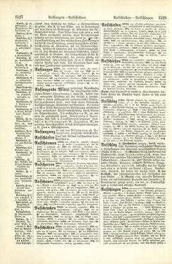Image of the Page - 1528 - in Pierers Konversations-Lexikon - A-Aufstehen, Volume 1