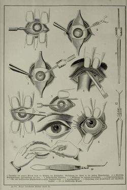 Image of the Page - (000016) - in Pierers Konversations-Lexikon - Aufsteigen-Bottrop, Volume 2