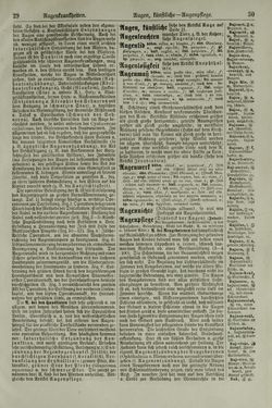 Image of the Page - 30 - in Pierers Konversations-Lexikon - Aufsteigen-Bottrop, Volume 2