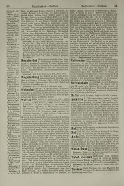 Image of the Page - 56 - in Pierers Konversations-Lexikon - Aufsteigen-Bottrop, Volume 2
