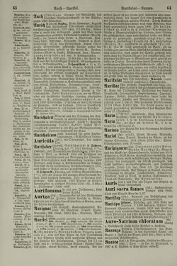 Image of the Page - 64 - in Pierers Konversations-Lexikon - Aufsteigen-Bottrop, Volume 2