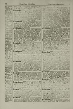 Image of the Page - 112 - in Pierers Konversations-Lexikon - Aufsteigen-Bottrop, Volume 2