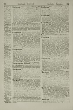 Image of the Page - 132 - in Pierers Konversations-Lexikon - Aufsteigen-Bottrop, Volume 2