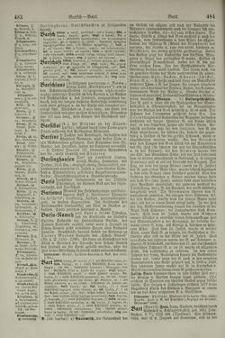 Image of the Page - 484 - in Pierers Konversations-Lexikon - Aufsteigen-Bottrop, Volume 2