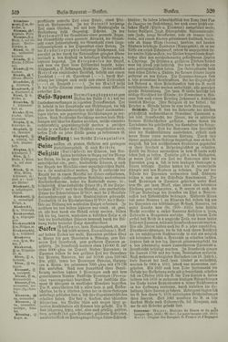 Image of the Page - 520 - in Pierers Konversations-Lexikon - Aufsteigen-Bottrop, Volume 2