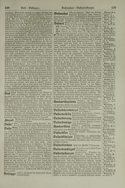 Image of the Page - 530 - in Pierers Konversations-Lexikon - Aufsteigen-Bottrop, Volume 2