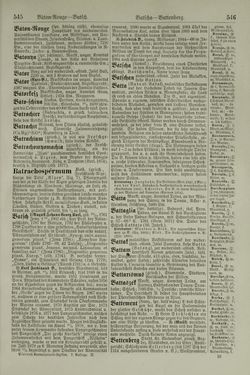 Image of the Page - 546 - in Pierers Konversations-Lexikon - Aufsteigen-Bottrop, Volume 2