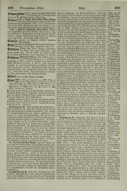 Image of the Page - 1098 - in Pierers Konversations-Lexikon - Aufsteigen-Bottrop, Volume 2