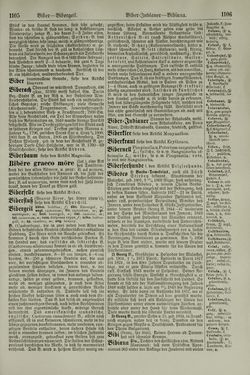 Image of the Page - 1106 - in Pierers Konversations-Lexikon - Aufsteigen-Bottrop, Volume 2