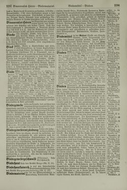 Image of the Page - 1198 - in Pierers Konversations-Lexikon - Aufsteigen-Bottrop, Volume 2