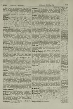 Image of the Page - 1246 - in Pierers Konversations-Lexikon - Aufsteigen-Bottrop, Volume 2