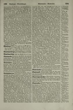 Image of the Page - 1294 - in Pierers Konversations-Lexikon - Aufsteigen-Bottrop, Volume 2