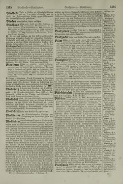 Bild der Seite - 1346 - in Pierers Konversations-Lexikon - Aufsteigen-Bottrop, Band 2