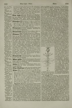 Image of the Page - 1356 - in Pierers Konversations-Lexikon - Aufsteigen-Bottrop, Volume 2