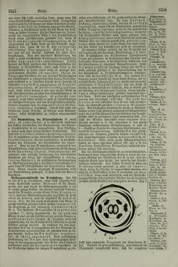 Image of the Page - 1358 - in Pierers Konversations-Lexikon - Aufsteigen-Bottrop, Volume 2