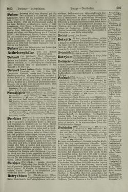 Bild der Seite - 1606 - in Pierers Konversations-Lexikon - Aufsteigen-Bottrop, Band 2