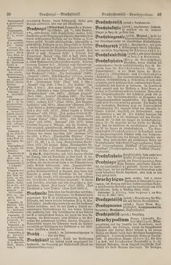 Image of the Page - 40 - in Pierers Konversations-Lexikon - Botts-Dampfpflug, Volume 3