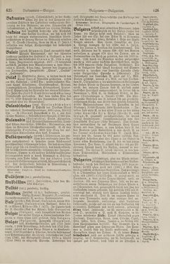 Image of the Page - 426 - in Pierers Konversations-Lexikon - Botts-Dampfpflug, Volume 3