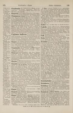 Image of the Page - 576 - in Pierers Konversations-Lexikon - Botts-Dampfpflug, Volume 3