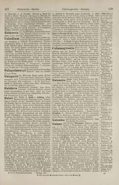 Image of the Page - 578 - in Pierers Konversations-Lexikon - Botts-Dampfpflug, Volume 3